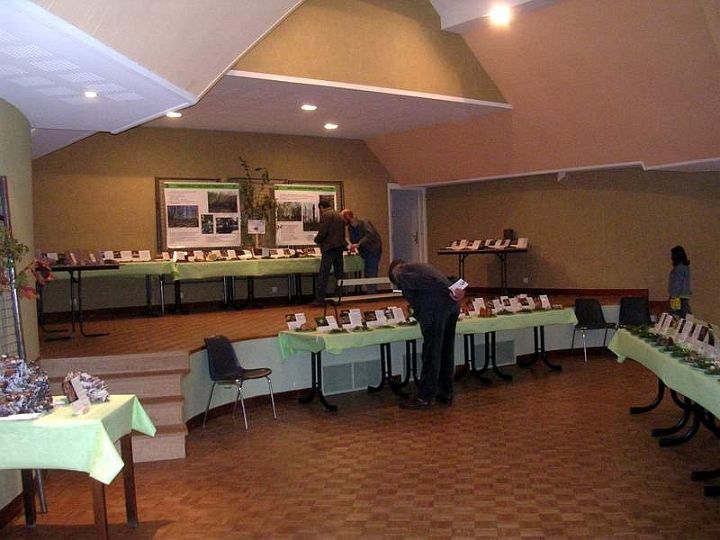 Expo champignons a St Leger 25